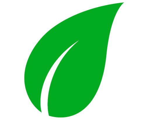 leaf icon