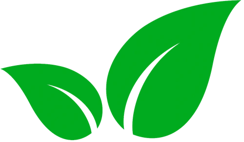 leaf icon